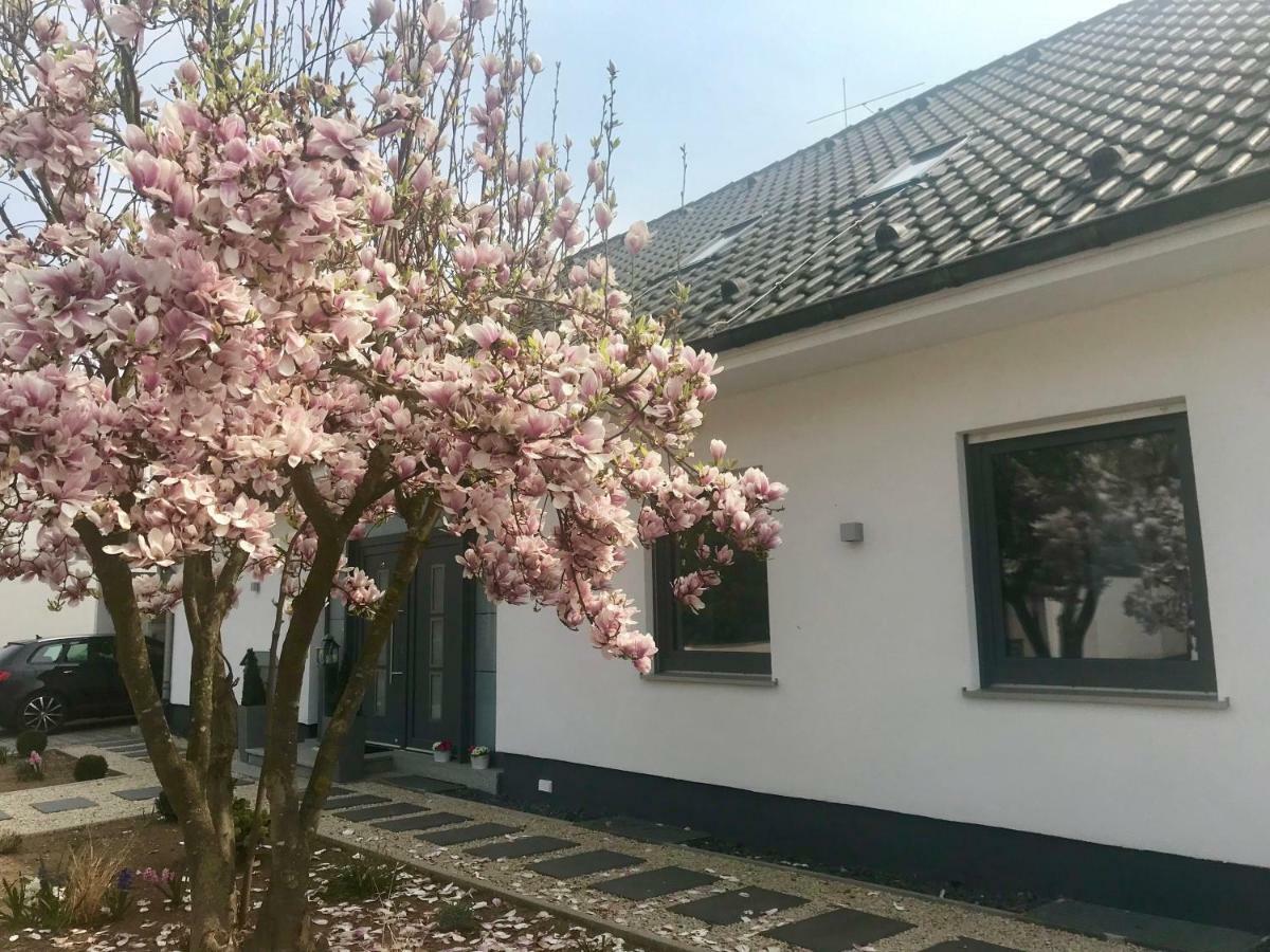 Apartmán Weinurlaub Sulzfeld am Main Exteriér fotografie